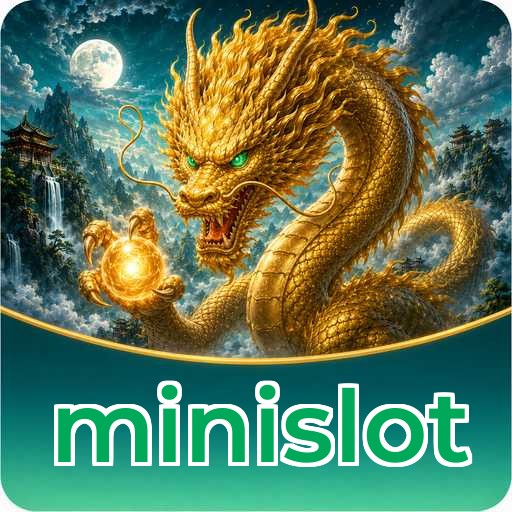 Tim minislot